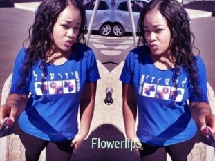 flowerlips Sexcam Zone