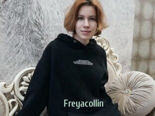 Freyacollin