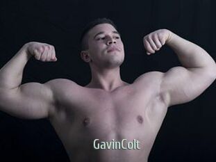 GavinColt