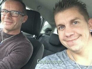 Gayfunguys