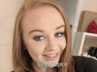 GingerXSpice