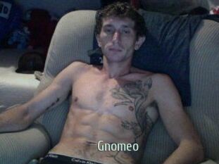 Gnomeo