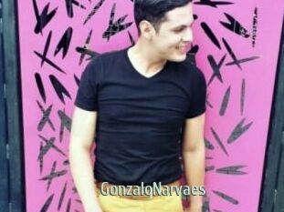 GonzaloNarvaes Sexcam Zone