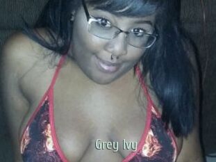 Grey_Ivy