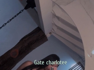 Gate_charlotee