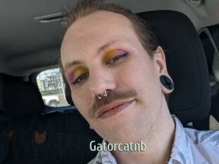 Gatorcatnb