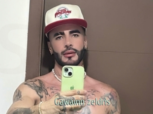 gawainn_zeldris Sexcam Zone