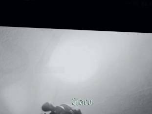 graco Sexcam Zone