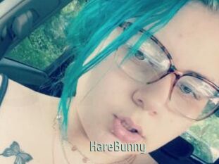 HareBunny