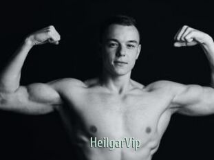 HeilgarVip