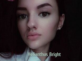 Helianthus_Bright