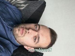 HomeAlone87