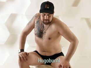 Hugoburn1