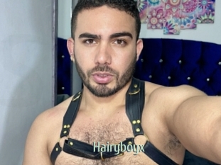 hairyboyx Sexcam Zone