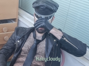 Hairycloudy