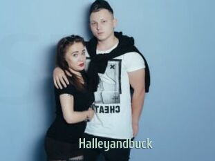 Halleyandbuck