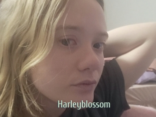 Harleyblossom