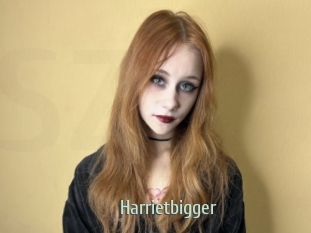 Harrietbigger