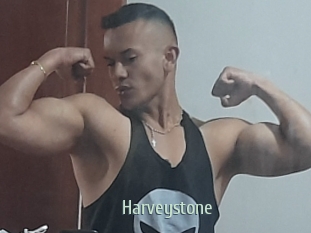 Harveystone