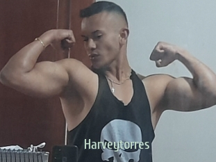 Harveytorres