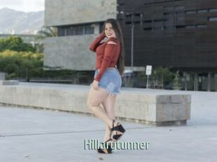 Hillarytunner