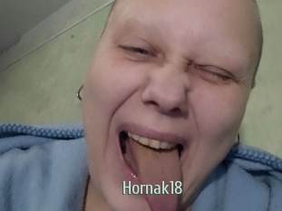 Hornak18