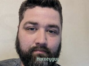 Horneyguy