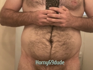 horny69dude Sexcam Zone