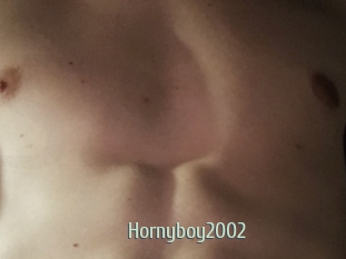 Hornyboy2002