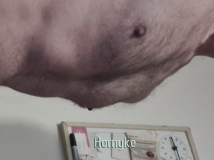 Hornyke