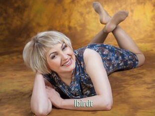 Ibirdt