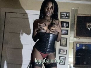 IggyGalorious