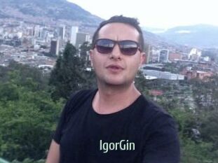 IgorGin