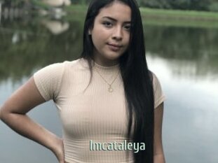 Imcataleya