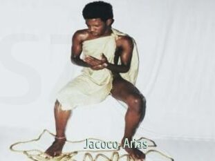 Jacoco_Arias