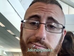 Jakesbigsnake