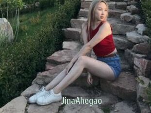 JinaAhegao