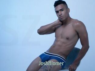 JoshBlomer Sexcam Zone