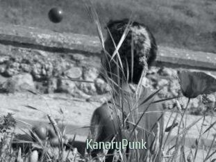 KanaryPunk