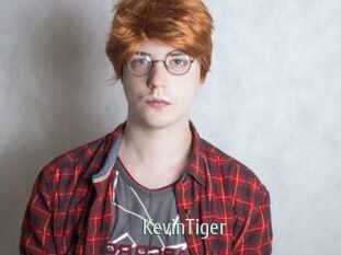 KevinTiger