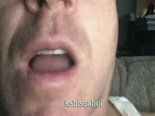 Ksbisexboi