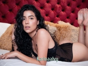 Karinaalvy