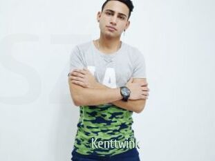 Kenttwink