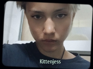 Kittenjess