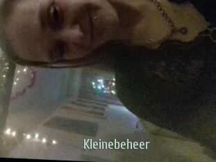 Kleinebeheer