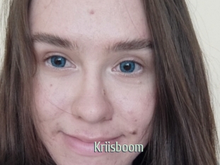 Kriisboom