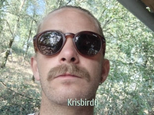 Krisbirdy