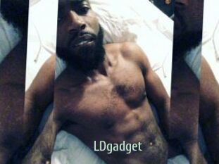 LDgadget