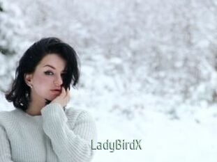 LadyBirdX