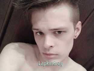 LapkinGray